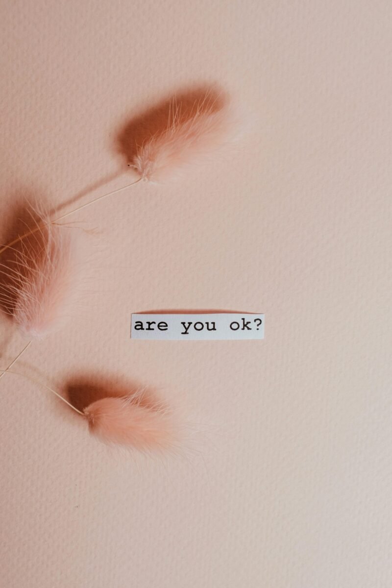 A minimalist pink background featuring text 'are you ok?' with delicate pink feathers.